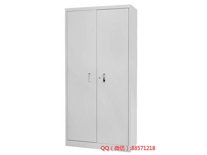 茂名雙門工具儲物柜