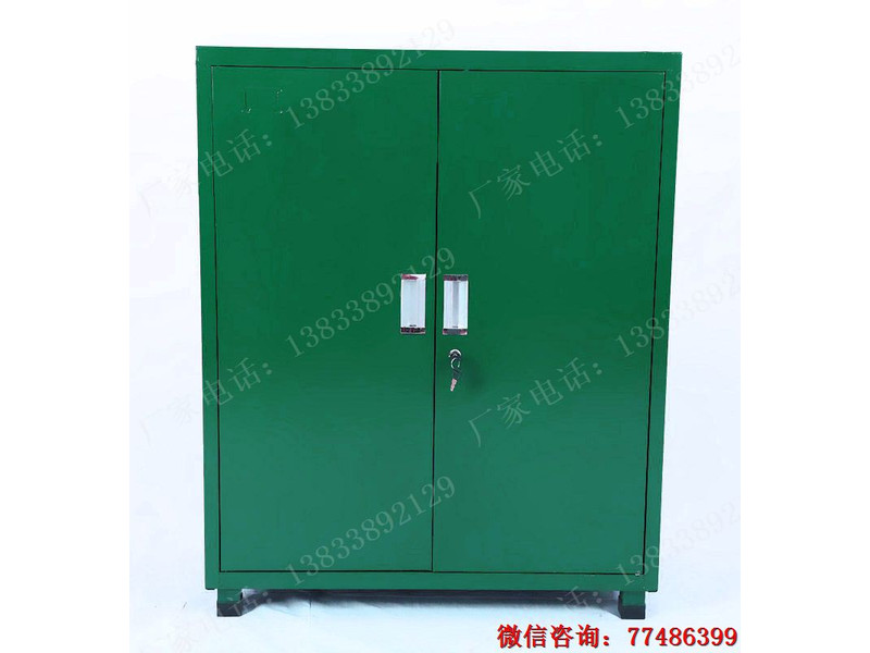 怒江綠色置物二門工具柜