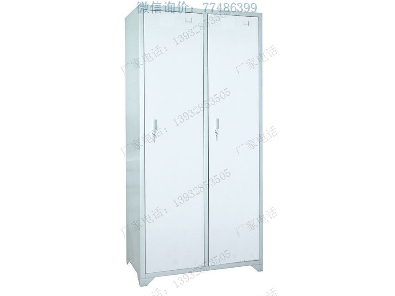 保山鋼制兩門更衣柜