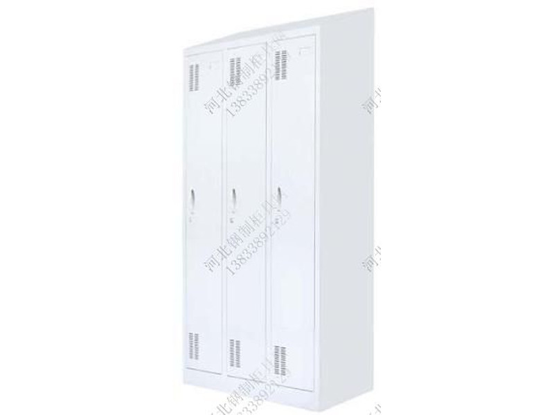 保山鐵三門斜頂更衣柜